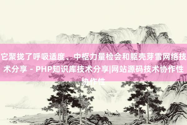 它聚拢了呼吸适度、中枢力量检会和躯壳芽雪网络技术分享 - PHP知识库技术分享|网站源码技术协作性
